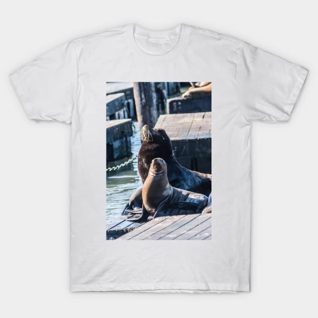 Male And Female Sea Lion T-Shirt by KensLensDesigns